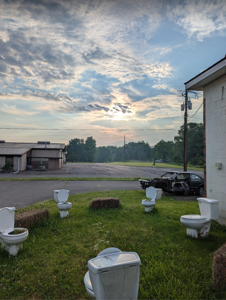 a circle of toilets that are being used as planters are sitting on grass, with the sun rising behind them peaking through clouds.